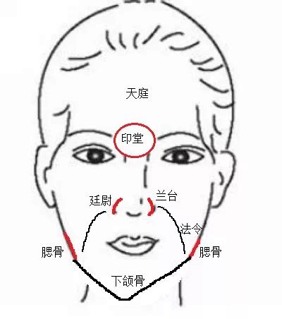 枕骨面相|《相学精义》刘恒注解，额骨、顶骨、枕骨面相篇（。